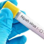 First Victim Of Nipah Virus Found In Goa,Mango News,Breaking News Headlines Today,India News Live Updates,Nipah Virus Case,India First Nipah Virus Victim,Nipah Case,Nipah virus in Kerala,Nipah Virus Found In Goa,Nipah Virus Latest News