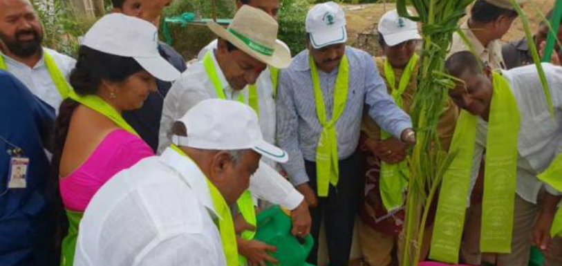 KCR Launches 4th Phase of Haritha Haram, CM KCR Plants Sapling At Gajwel, Cm Kcr Launches 4th Phase Of Haritha Haram In Medchal District, #HarithaHaaram, #GreenChallenge, Telangana Haritha Haaram Updates, Telangana Latest News, Telangana Green Revolution, Telangana Govt Haritha Haaram, Haritha Haaram Compaign