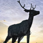 Hyderabad: HMDA Developed Lung Space In 21 Days Hyderabad: HMDA Developed Lung Space In 21 Days, Hyderabad gets lung space in record time, HMDA Develop Lung Space, Mango News, Buddha Purnima Project Latest Update, Hyderabad metropolitan development authority Buddha Purnima project, PV Ghat at Necklace Road lung space, Telangana caretaker Government entrusted Hussain Sagar Area