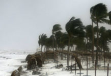 Cyclone Gaja To Intensify In Southern India Cyclone Gaja To Intensify In Southern India, Cyclone Gaja Latest Updates, Gaja cyclone red alert Latest News, Mango News, Heavy Rainfall in Tamil Nadu, Cyclone Gaja alert in Tamil Nadu and Andhra Pradesh, Cyclone in southern Andhra, Latest Andhra Pradesh Weather Report, Heavy Rains in Chennai and Andhra Pradesh