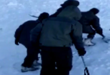 Five Dead And Five Missing In Ladakh, avalanche hits Ladakh, avalanche strikes in Ladakh, Khardung La avalanche, 5 bodies pulled out of snow, Mango News