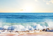 Turn The Heat Down, Ocean Water Is Boiling Turn The Heat Down Ocean Water Is Boiling, Long Beachers To Jump Into 55 Degree, ocean water 40 % hike, Mango News, Major global warming, Greenhouse gases and manmade pollution, Coastal floods lates update