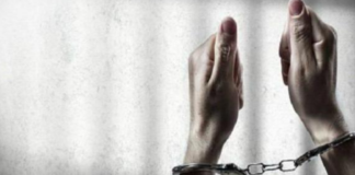 Indian Tourist Arrested In Australia, Indian Tourist Jailed In Australia, Indian tourist jailed, child exploitation videos, Indian Man arrested, Mango News, abhorrent content on Indian tourist phone, Indian Man 2 months imprisonment, Indian Tourist illegal activities in Australia