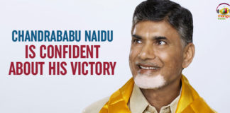 AP Assembly Elections - Naidu Confident About His Victory, Andhra Pradesh Assembly Election, Andhra Pradesh elections, N Chandrababu Naidu latest news, TDP winning all seats, #APElections2019, Andhra Pradesh exit polls, Andhra opinion polls, latest election news,Live election results 2019,