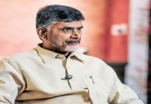 Lok Sabha Elections Anyone Can Be Better Than PM Modi Says Naidu, Prime Minister Narendra Modi, Lok Sabha Elections 2019, Andhra Pradesh Assembly Elections, Anti BJP Front, Assembly and Lok Sabha elections in AP, Chandrababu Naidu campaigns, AP CM Chandrababu Rally, Mango News