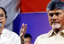 AP CM Meets Mamata Banerjee,Mango News,AP CM Chandrababu Naidu to Meet Mamata,Chandrababu Naidu About Mamata Banerjee,Mamata Banerjee Meets AP CM Chandrababu Naidu at the West Bengal,AP CM Meets Chandrababu Naidu Meet West Bengal CM Mamata Banerjee,Chandrababu Naidu and Mamata Banerjee to Meet Together