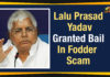 Lalu Prasad Yadav Granted Bail In Fodder Scam, Lalu Prasad gets bail, Fodder scam latest update, Latest News on Fodder Scam, Lalu bail, RJD Fodder scam latest news, RJD chief Lalu Prasad bail, former Bihar chief minister Lalu in jail, Lalu Prasad Yadav Cases, Lalu Prasad Yadav Crime news, Mango News