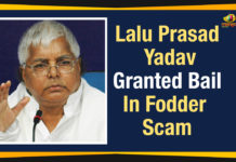 Lalu Prasad Yadav Granted Bail In Fodder Scam, Lalu Prasad gets bail, Fodder scam latest update, Latest News on Fodder Scam, Lalu bail, RJD Fodder scam latest news, RJD chief Lalu Prasad bail, former Bihar chief minister Lalu in jail, Lalu Prasad Yadav Cases, Lalu Prasad Yadav Crime news, Mango News