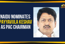Naidu Nominates Payyavula Keshav As PAC Chairman, Chandrababu appoints Payyavula Keshav, Payyavula Keshav Is PAC Chairman In AP, AP PAC chairman, TDP selects MLA Payyavula Keshav as PAC chairman post, Payyavula Keshav latest news, Mango News, Public Accounts Committee chairman,