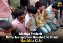 Madhya Pradesh – Cattle Transporters Thrashed And Forced To Chant Gau Mata Ki Jai Madhya Pradesh – Cattle Transporters Thrashed To Chant Gau Mata Ki Jai, cattle transporters thrashed, Gau Mata Ki Jai In Madhya Pradesh, men transporting cattle stripped, Cow Vigilantism in Madhya Pradesh, Mango News, Madhya Pradesh latest news and updates, Madhya Pradesh Assembly session