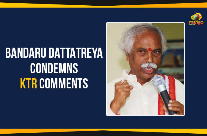 Bandaru Dattatreya, Bandaru Dattatreya Condemns KTR comments, Bandaru Dattatreya Criticises KTR, Bandaru Dattatreya Criticises KTR Comments, BJP, BJP Leader Bandaru Dattatreya Condemns KTR, Dattatreya Condemns KTR comments, latest political news, Mango News, telangana bjp, Telangana Political News, Telangana Politics, TRS Working President KTR