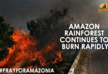 Amazon Rainforest Continues Burning Rapidly #PrayForTheAmazon #PrayForAmazonia., #SaveAmazon, Amazon Rainforest, Amazon Rainforest Continues Burning, Amazon Rainforest Continues Burning Rapidly, Brazilian Government’s land policies, international news, international news 2019, International News Updates, Latest International news, Mango News, National Institute for Space Research, Today’s International News