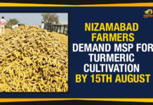Nizamabad Farmers Demand MSP For Turmeric Cultivation By 15th August Farmers’ United Action Committee, Minimum Support Price, MSP For Turmeric Cultivation, National Turmeric Board, Nizamabad Farmers, Nizamabad Farmers Demand MSP, Nizamabad Farmers Demand MSP For Turmeric Cultivation, Nizamabad Farmers Demand MSP For Turmeric Cultivation By 15th August, Nizamabad news, Telangana news, Telangana Political News, Telangana Politics, Telangana Rashtra Samithi, Turmeric Cultivation