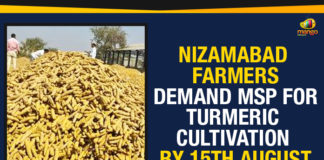 Farmers’ United Action Committee, Minimum Support Price, MSP For Turmeric Cultivation, National Turmeric Board, Nizamabad Farmers, Nizamabad Farmers Demand MSP, Nizamabad Farmers Demand MSP For Turmeric Cultivation, Nizamabad Farmers Demand MSP For Turmeric Cultivation By 15th August, Nizamabad news, Telangana news, Telangana Political News, Telangana Politics, Telangana Rashtra Samithi, Turmeric Cultivation