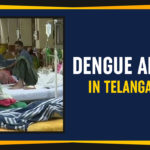 Dengue Alert In Telangana Dengue Alert In Telangana, Dengue Alert In Telangana State, Eatala Rajender Health Minister of Telangana, Health Department of Telangana, majority of dengue cases were registered in Khammam district, Manog News, Nalgonda, Suryapet, Telangana Political Live Updates, Telangana Political Updates, Telangana Political Updates 2019, Urban districts, Warangal Rural