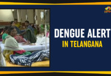 Dengue Alert In Telangana, Dengue Alert In Telangana State, Eatala Rajender Health Minister of Telangana, Health Department of Telangana, majority of dengue cases were registered in Khammam district, Manog News, Nalgonda, Suryapet, Telangana Political Live Updates, Telangana Political Updates, Telangana Political Updates 2019, Urban districts, Warangal Rural