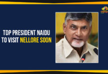 TDP President Naidu To Visit Nellore Soon Ap Political Live Updates 2019, AP Political News, AP Political Updates, AP Political Updates 2019, Chandrababu Naidu To Visit Nellore, Mango News, Naidu To Visit Nellore, TDP President Chandrababu Naidu To Visit Nellore, TDP President Chandrababu Naidu To Visit Nellore Soon, TDP President Naidu To Visit Nellore Soon