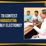 Maharashtra Assembly Elections, Maharashtra Assembly Elections 2019, Maharashtra Politics, mango news telugu, Political Updates 2019, Telangana, Telangana Breaking News, Telangana Political Live Updates, Telangana Political Updates, Telangana Political Updates 2019, TRS Party Plans To Foray Into Maharashtra Politics, TRS Party To Foray Into Maharashtra Politics, TRS Plans To Foray Into Maharashtra Politics, TRS To Contest Maharashtra Assembly Elections