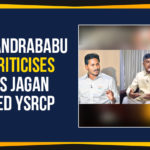 AP Latest Political News, Ap Political Live Updates 2019, AP Political News, AP Political Updates, AP Political Updates 2019, Chandrababu Naidu Criticises AP CM YS Jagan, Chandrababu Naidu Criticises YS Jagan, Chandrababu Naidu Criticises YS Jagan Led YSRCP, Chandrababu Naidu Criticises YSRCP, Mango News