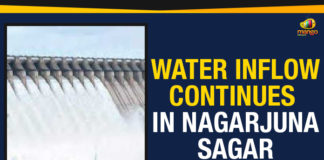 Water Inflow Continues In Nagarjuna Sagar flood situation near Nagarjuna Sagar, Mango News, Nagarjuna Sagar in Telangana, Political Updates 2019, Telangana, Telangana Breaking News, Telangana Political Live Updates, Telangana Political Updates, Telangana Political Updates 2019, ten crest gates of Nagarjuna Sagar were opened, Water Inflow Continues In Nagarjuna Sagar, Water Inflow In Nagarjuna Sagar, water inflow is still continuing in Nagarjuna Sagar in Telangana