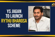 Ap Political Live Updates 2019, AP Political News, AP Political Updates, AP Political Updates 2019, Chief Minister of Andhra Pradesh, Mandal Parishad Development Officers, mango news telugu, Rythu Bharosa Scheme, Rythu Bharosa Scheme In AP, Y.S. Jagan Mohan Reddy, YS Jagan To Launch Rythu Bharosa Scheme, Yuvajana Sramika Rythu Congress Party