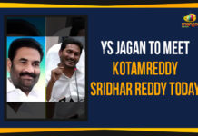 AP CM YS Jagan To Meet Kotamreddy Sridhar Reddy Today, Ap Political Live Updates 2019, AP Political News, AP Political Updates, AP Political Updates 2019, Chief Minister of Andhra Pradesh, CM YS Jagan To Meet Kotamreddy Sridhar Reddy Today, Mandal Parishad Development Officer, Mango News, YS Jagan To Meet Kotamreddy Sridhar Reddy, YS Jagan To Meet Kotamreddy Sridhar Reddy Today, Yuvajana Sramika Rythu Congress Party