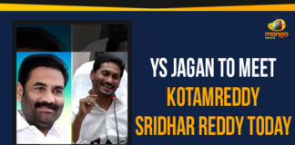 AP CM YS Jagan To Meet Kotamreddy Sridhar Reddy Today, Ap Political Live Updates 2019, AP Political News, AP Political Updates, AP Political Updates 2019, Chief Minister of Andhra Pradesh, CM YS Jagan To Meet Kotamreddy Sridhar Reddy Today, Mandal Parishad Development Officer, Mango News, YS Jagan To Meet Kotamreddy Sridhar Reddy, YS Jagan To Meet Kotamreddy Sridhar Reddy Today, Yuvajana Sramika Rythu Congress Party