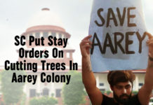 Bulldozers Start Cutting Down Trees, Cutting Trees In Aarey Colony, Latest Political Breaking News, Mango News, Mumbai, Mumbai Metro Rail, Mumbai Metro Rail started cutting down trees in Aarey Colony, Mumbai Protest Continues In Aarey Colony, Municipal Corporation of Greater Mumbai, National News Headlines Today, national news updates 2019, National Political News 2019, Protest Continues In Aarey Colony, SC Put Stay Orders On Cutting Trees In Aarey Colony