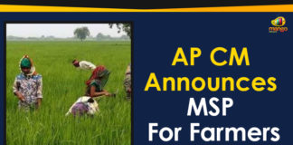 AP CM Announces Minimum Support Price For Farmers, AP CM Announces MSP, AP CM Announces MSP For Farmers, AP CM YS Jagan Announces MSP For Farmers, Ap Political Live Updates 2019, AP Political News, AP Political Updates, AP Political Updates 2019, Mango News, Minimum Support Price, Minimum Support Price For Farmers, Y.S. Jagan Mohan Reddy, Yuvajana Sramika Rythu Congress Party