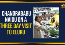 Chandrababu Naidu On A Three Day Visit To Eluru Chandrababu Naidu Three Day Visit To Eluru,Mango News,Andhra Pradesh Breaking News,Political News 2019,Chandrababu Naidu Meet TDP Leaders,TDP President Visit To Eluru,TDP Supremo Chandrababu Naidu,Chandrababu Naidu Latest News,Eluru TDP Leaders