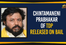 Chintamaneni Prabhakar of TDP Released On Bail Ap Political Live Updates 2019, AP Political News, AP Political Updates, AP Political Updates 2019, Chintamaneni Prabhakar Case Updates, Chintamaneni Prabhakar of TDP Released, Chintamaneni Prabhakar of TDP Released On Bail, Chintamaneni Prabhakar Released On Bail, Mango News, West Godavari Police arrested Chintamaneni Prabhakar