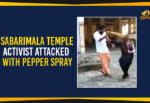 Activist Attacked With Pepper Spray, Latest Political Breaking News, Mango News, National News Headlines Today, national news updates 2019, National Political News 2019, Sabarimala Temple, Sabarimala Temple – Activist Attacked With Pepper Spray, Sabarimala temple in Kerala, Trupti Desai