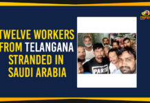 Twelve Workers From Telangana Stranded In Saudi Arabia TSRTC Strike Update - TSRTC JAC To Meet Union Ministers In Delhi