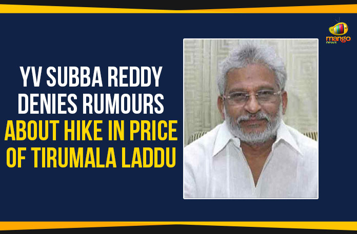 YV Subba Reddy Denies Rumours About Tirumala Laddu Hike,Laddu Price Hike Campaign In Tirumala,TTD Chairman YV Subba Reddy,TTD Laddu Price,Tirumala Laddu Price,Mango News Telugu,YV Subba Reddy About Laddu Price Hike,Laddu Price Hike News