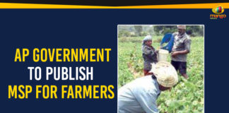 AP Government To Publish MSP For Farmers, Ap Political Live Updates 2019, AP Political News, AP Political Updates, AP Political Updates 2019, Mango News, Minimum Support Price, Minimum Support Price for agriculture commodities, MSP For Farmers In AP, Yuvajana Sramika Rythu Congress Party
