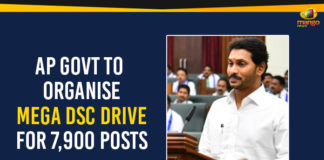 AP Government To Organise Mega DSC Drive For 7,900 Posts