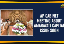 AP Cabinet Meeting About Amaravati Capital Issue Soon