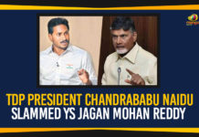 TDP President Chandrababu Naidu Slammed YS Jagan Mohan Reddy