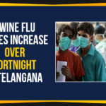 Mango News, Political Updates 2020, Swine Flu Alert, Swine Flu Alert In Telangana, Swine Flu Cases, Swine Flu Cases In Telangana, Swine Flu In Hyderabad, Telangana, Telangana Breaking News, Telangana Political Updates 2020