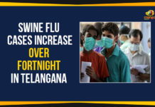 Swine Flu Cases Increase Over Fortnight In Telangana Mango News, Political Updates 2020, Swine Flu Alert, Swine Flu Alert In Telangana, Swine Flu Cases, Swine Flu Cases In Telangana, Swine Flu In Hyderabad, Telangana, Telangana Breaking News, Telangana Political Updates 2020