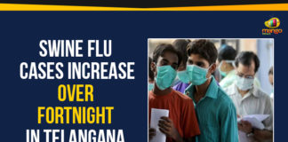Mango News, Political Updates 2020, Swine Flu Alert, Swine Flu Alert In Telangana, Swine Flu Cases, Swine Flu Cases In Telangana, Swine Flu In Hyderabad, Telangana, Telangana Breaking News, Telangana Political Updates 2020