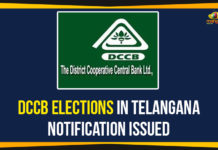 Telangana Government Issues DCCB Elections Notification CM KCR, cooperative societies election telangana elections, dccb elections, DCCB Polls, DCMS Elections, DCMS polls, district cooperative central bank, District Cooperative Marketing Society, Mango News, Telangana DCCB Elections, Telangana DCMS Elections, Telangana PACS Elections
