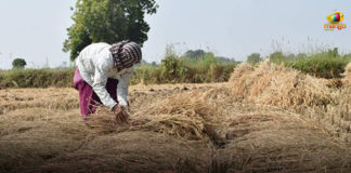 16 Point Action Plan For Farmers Income Growth, agricultural sector, Finance Minister Budget 2020, Finance Minister of India, Mango News, National News Headlines Today, Nirmala Sitharaman, Parliament Budget Session, union budget 2020, Union Budget Session 2020