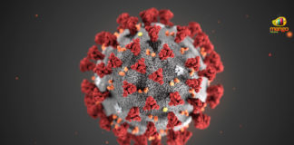 Coronavirus, Coronavirus Precautions, Coronavirus Prevention, Coronavirus Symptoms, COVID 19 Updates, Health Ministry of India, Health Ministry Restricts Hydroxychloroquine Sale, Hydroxychloroquine Sale, Hydroxychloroquine zentiva