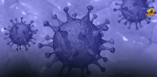 andhra pradesh, AP Corona Positive Cases, AP Coronavirus, AP COVID 19 Cases, AP Reports 56 New COVID 19 Cases, AP Total Positive Cases, Corona Positive Cases, Coronavirus, Coronavirus Breaking News, coronavirus latest news, Coronavirus live updates, COVID-19, Total Corona Cases In AP