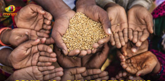 BJP, BJP Leaders Runs Feed The Needy Programme, BJP Leaders Runs Feed The Needy Programme In Telangana, Coronavirus, Coronavirus Pandemic, Coronavirus updates Live, COVID-19, Feed The Needy Programme, Feed The Needy Programme In Telangana, India COVID 19 Cases, Telangana, Telangana Coronavirus, Telangana Coronavirus Deaths, Total COVID 19 Cases