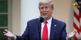 America Coronavirus, America Coronavirus Deaths, America Immigration, Coronavirus Cases, Coronavirus Crisis, Coronavirus Deaths In US, Coronavirus outbreak, Coronavirus Pandemic, Donald Trump, Donald Trump Suspend Immigration into US, President Donald Trump temporarily halts immigration, US Immigration Suspended, US temporarily suspend immigration, USA