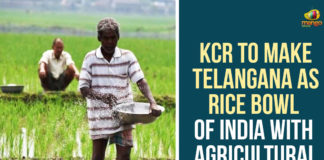 CM KCR, KCR, KCR says Telangana A Rice Bowl Of India, Rice Bowl Of India, Telangana, Telangana cm kcr, Telangana Farmers Coordination Committee, Telangana Farmers Issues, telangana farmers news, Telangana State Becoming A Rice Bowl Of India, Telangana State Rice Bowl Of India