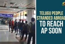 Telugu People Stranded Abroad To Reach AP Soon Abroad Telugu People, Abroad Telugu People To Reach AP Soon, andhra pradesh, AP NEWS, Krishna District Collector Imtiaz, Telugu People, Telugu People in US, Telugu People Stranded Abroad, Telugu People Stranded Abroad To Reach AP