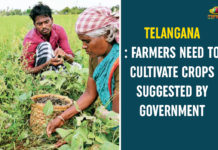 Telangana : Farmers Need To Cultivate Crops Suggested By Government agriculture policy, CM KCR, CM KCR Review Over Crops Cultivation, Crops Cultivation and Policies, KCR Conducts Review Over Crops Cultivation and Policies, Paddy cultivation, Rythu Bandhu Scheme, telangana, telangana agriculture development, Telangana Agriculture News, Telangana CM KCR